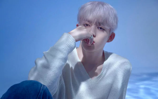 A serene HD desktop wallpaper featuring a member of Seventeen, captured in soft lighting, wearing a cozy sweater and looking contemplatively at the camera.