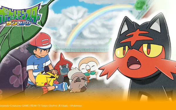 Rowlet (Pokémon) Litten (Pokémon) Pikachu Ash Ketchum Anime Pokémon HD Desktop Wallpaper | Background Image