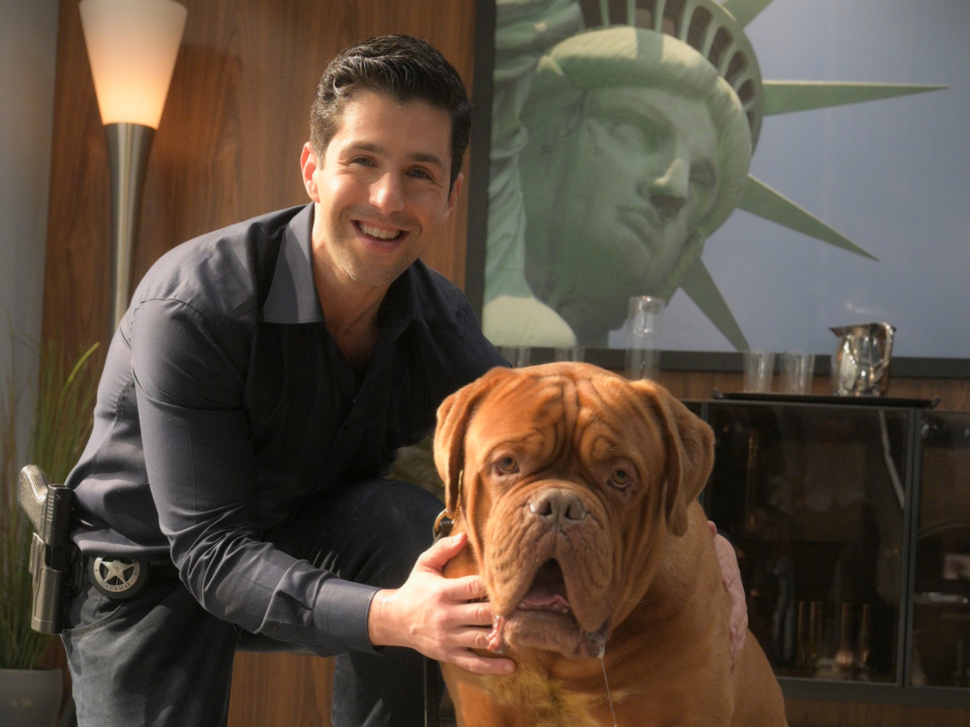 Download Josh Peck TV Show Turner & Hooch HD Wallpaper