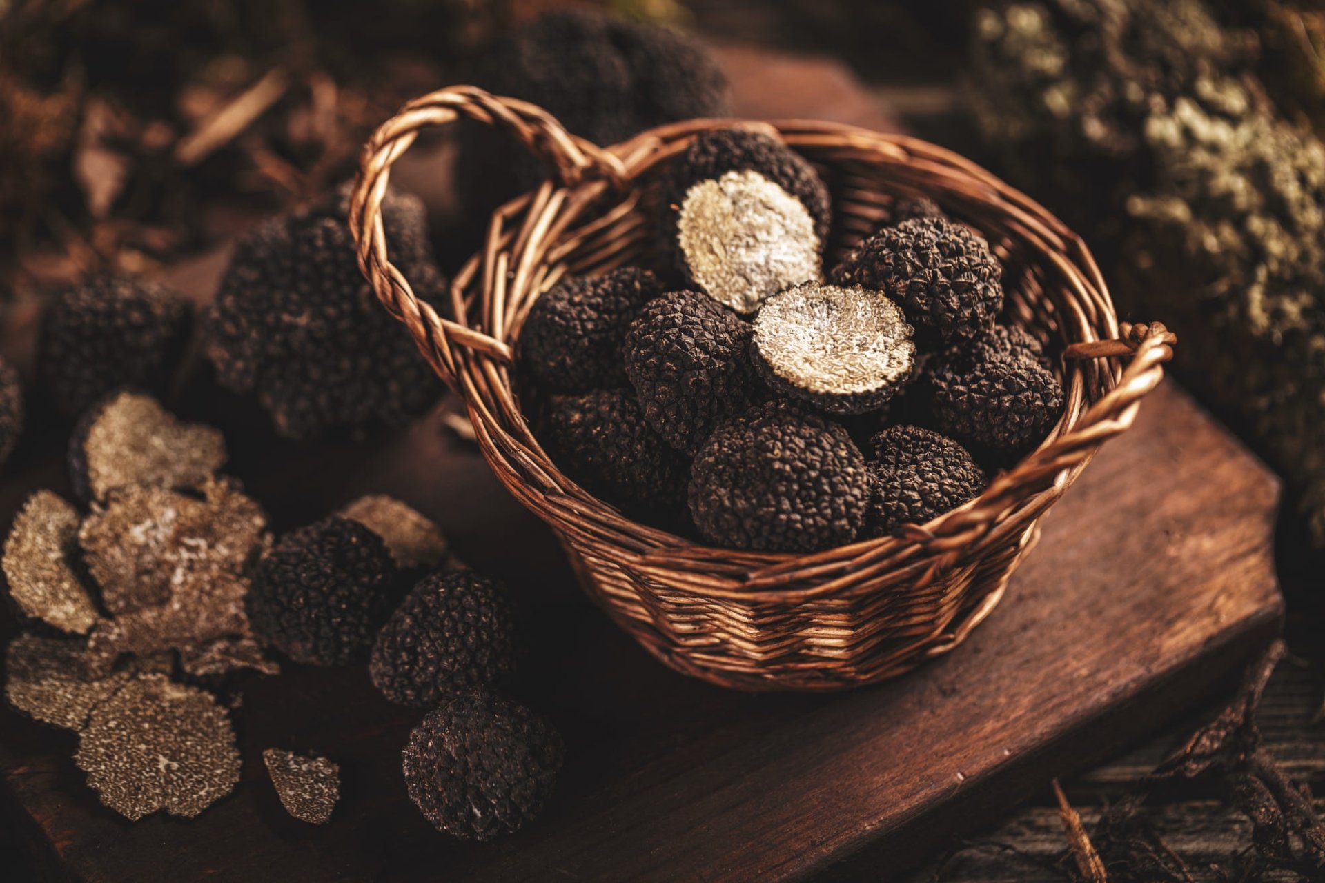 Download Truffle Food Mushroom HD Wallpaper