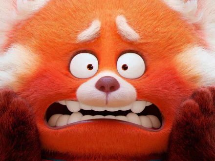 HD PC desktop wallpaper featuring a close-up of the anxious red panda character from the movie Turning Red.