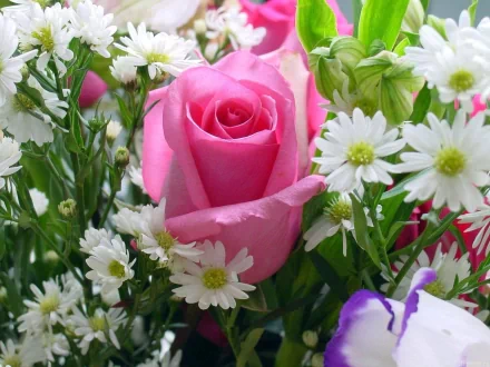 HD desktop wallpaper featuring a vibrant pink rose surrounded by delicate white and purple flowers, showcasing the beauty of nature.