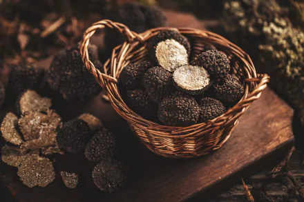 truffle food mushroom HD Desktop Wallpaper | Background Image