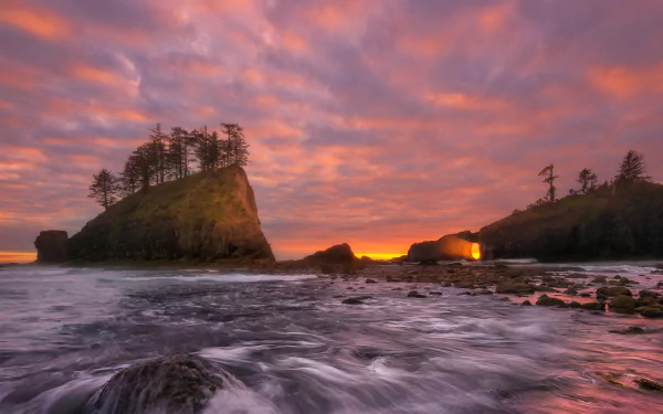  The shoreline of Olympic Coast National Maritime Sanctuary, Washington state by Chris Moore