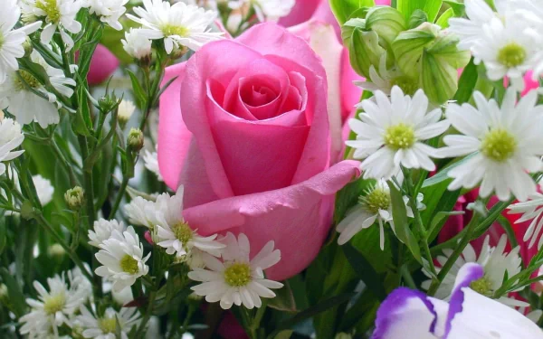 HD desktop wallpaper featuring a vibrant pink rose surrounded by delicate white and purple flowers, showcasing the beauty of nature.