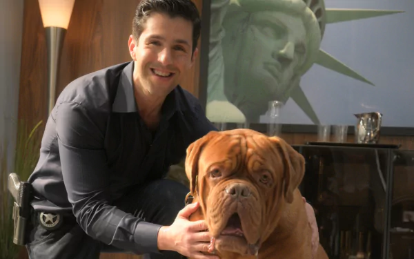 Josh Peck TV Show Turner & Hooch HD Desktop Wallpaper | Background Image