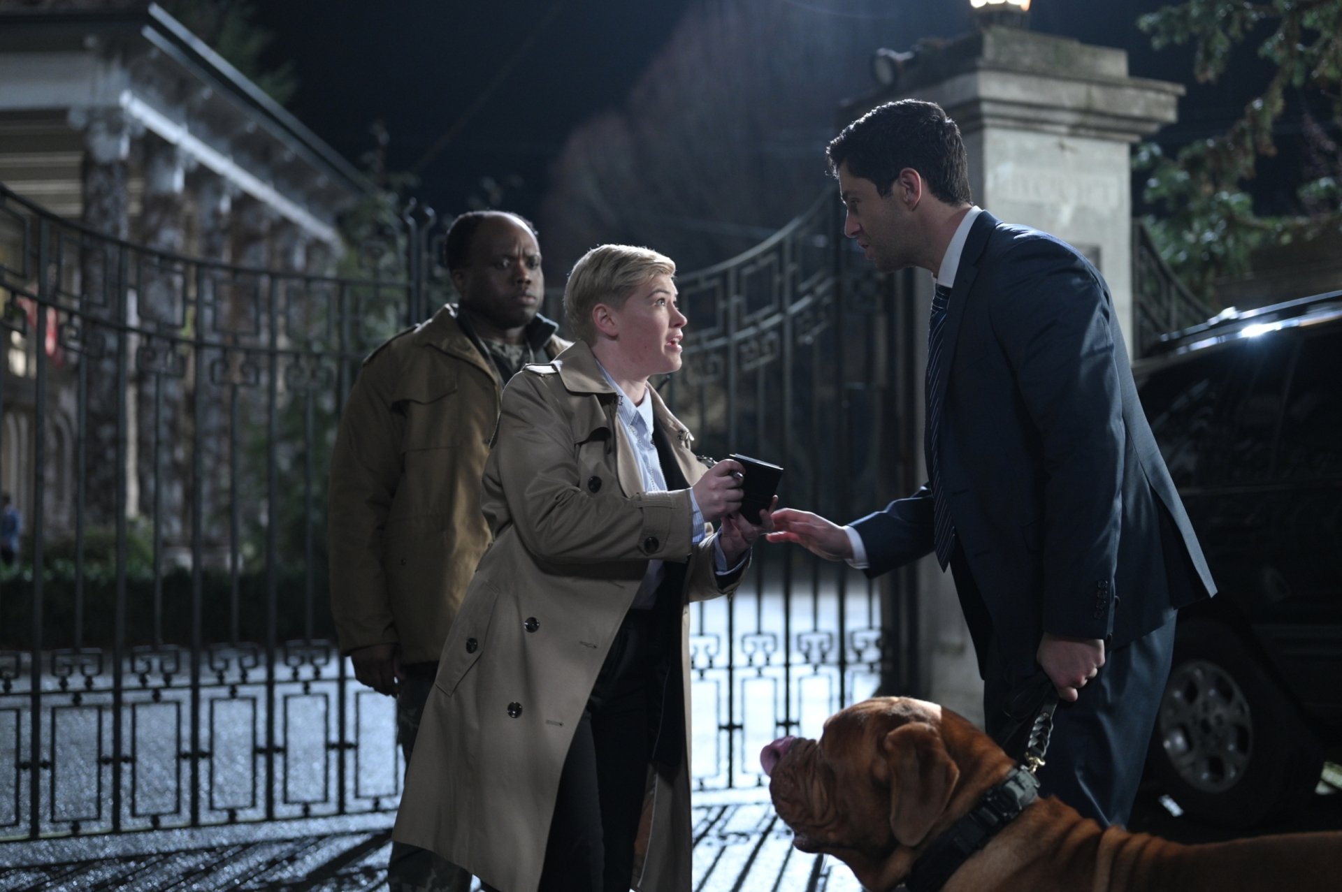 Download Josh Peck TV Show Turner & Hooch HD Wallpaper