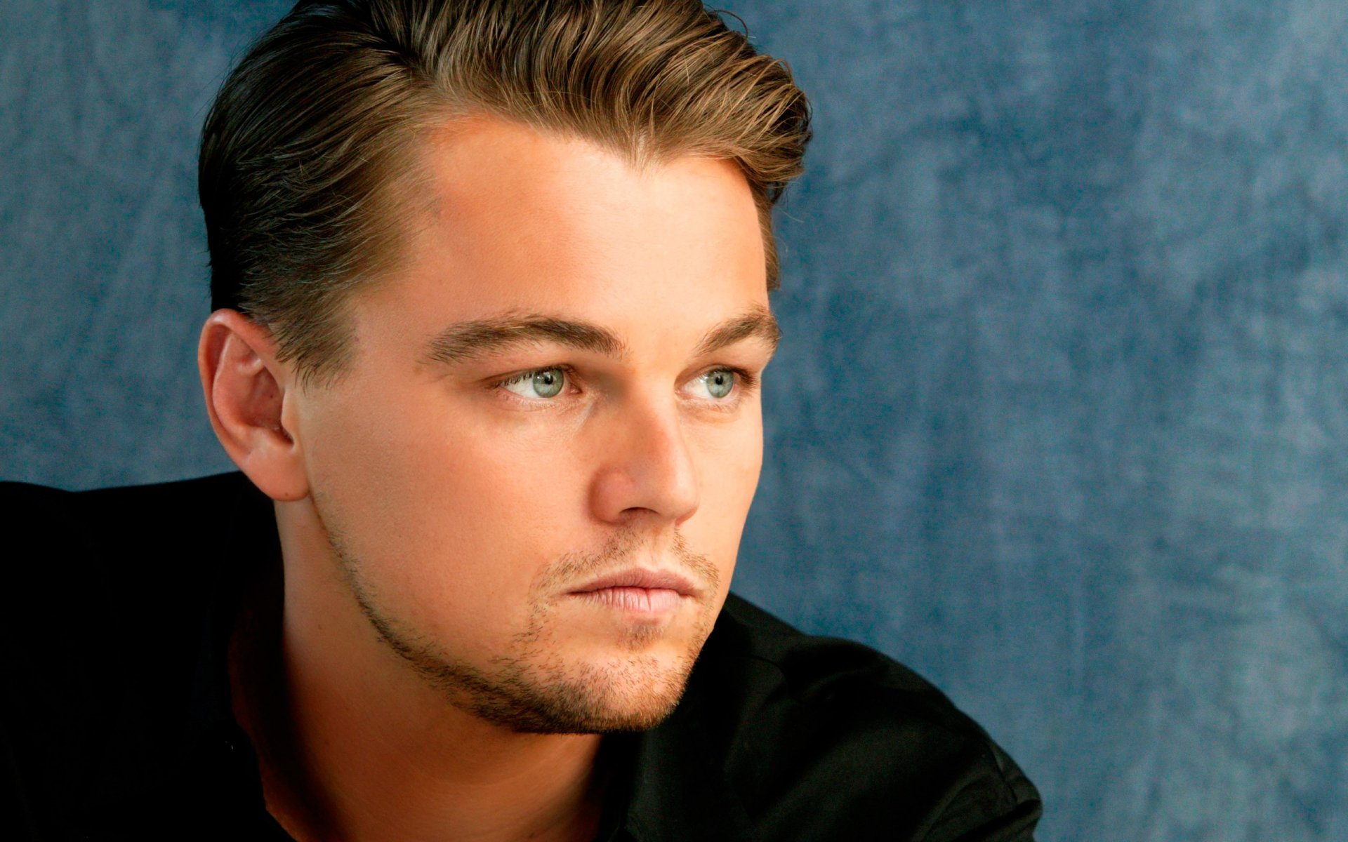 Download Celebrity Leonardo Dicaprio Hd Wallpaper 3746