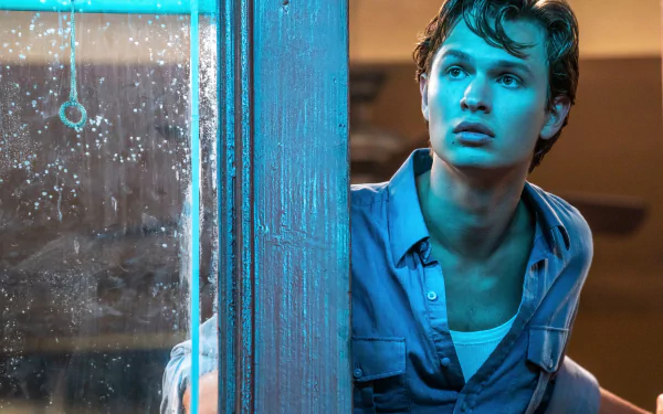 Ansel Elgort movie West Side Story (2021) HD Desktop Wallpaper | Background Image