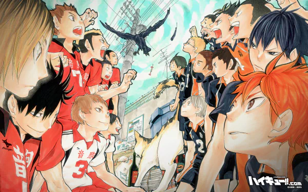 HD PC desktop wallpaper featuring dynamic anime characters from Haikyū!! facing off intensely with a crow flying above them in an energetic volleyball scene.