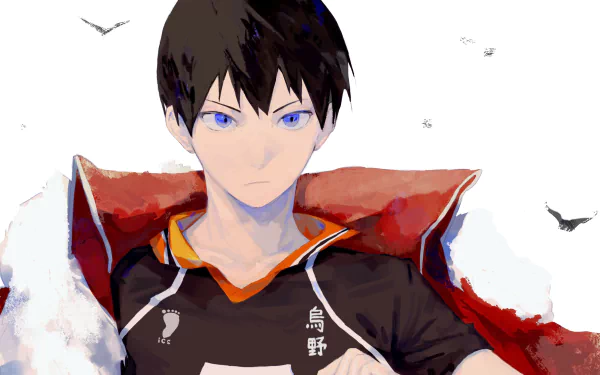Tobio Kageyama Anime Haikyū!! HD Desktop Wallpaper | Background Image