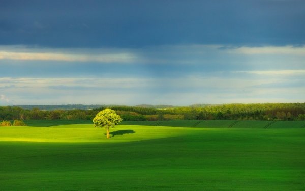 Nature Landscape Greenery HD Wallpaper | Background Image