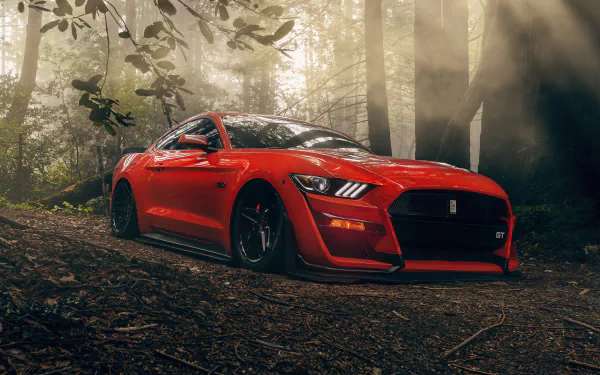 vehicle Ford Mustang GT HD Desktop Wallpaper | Background Image