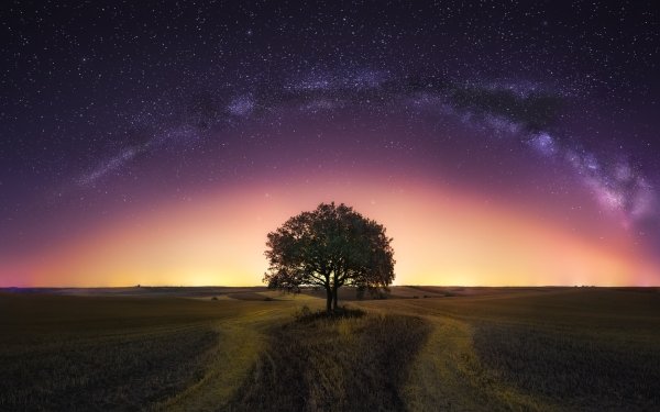 Nature Night Field Milky Way Starry Sky HD Wallpaper | Background Image