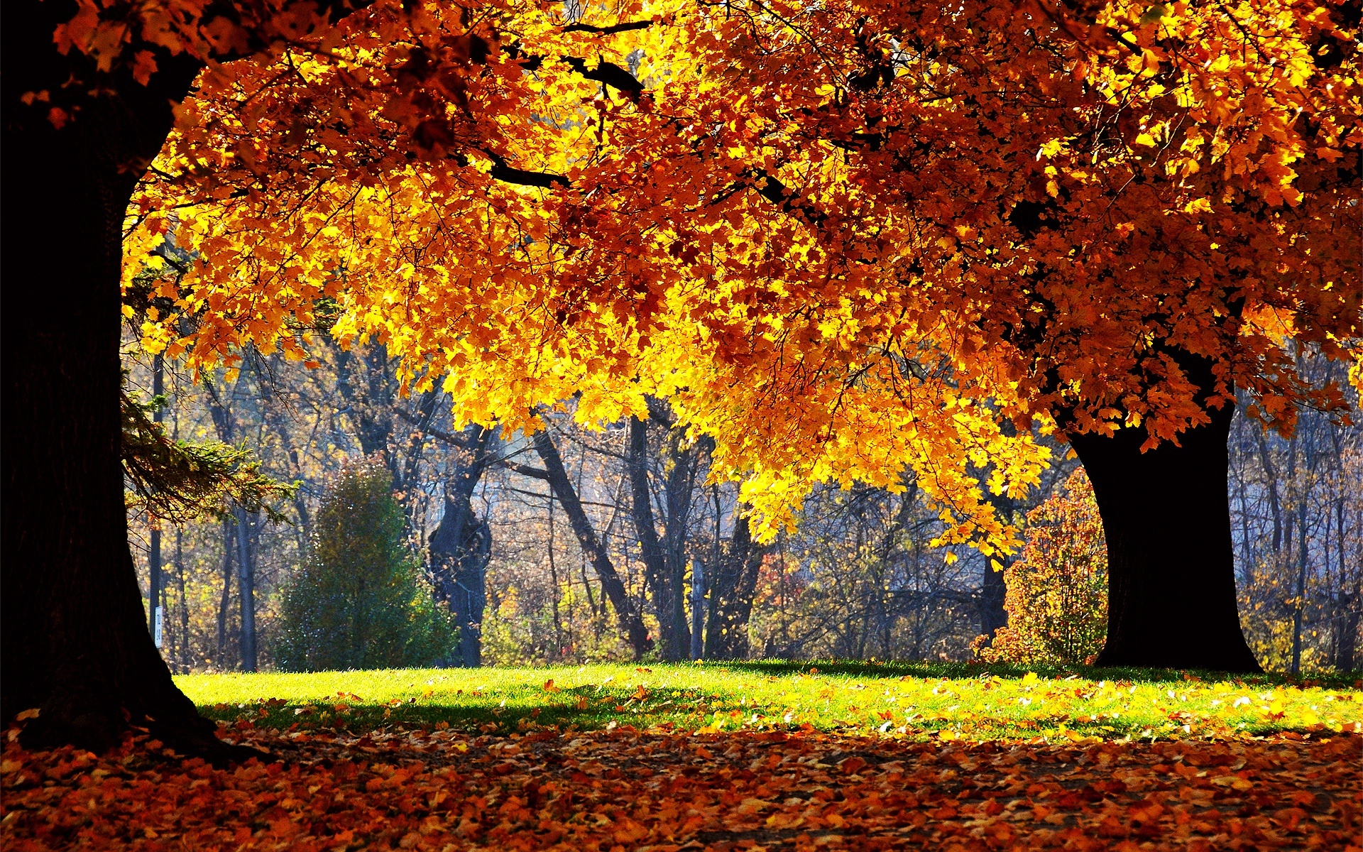 Nature in full autumn splendor