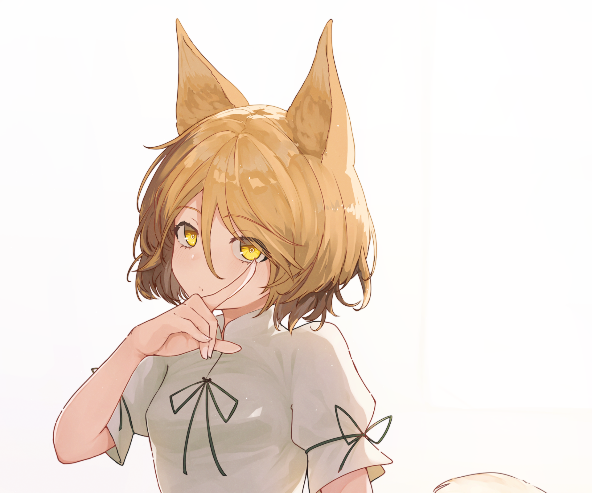 Download Animal Ears Tsukasa Kudamaki Anime Touhou HD Wallpaper