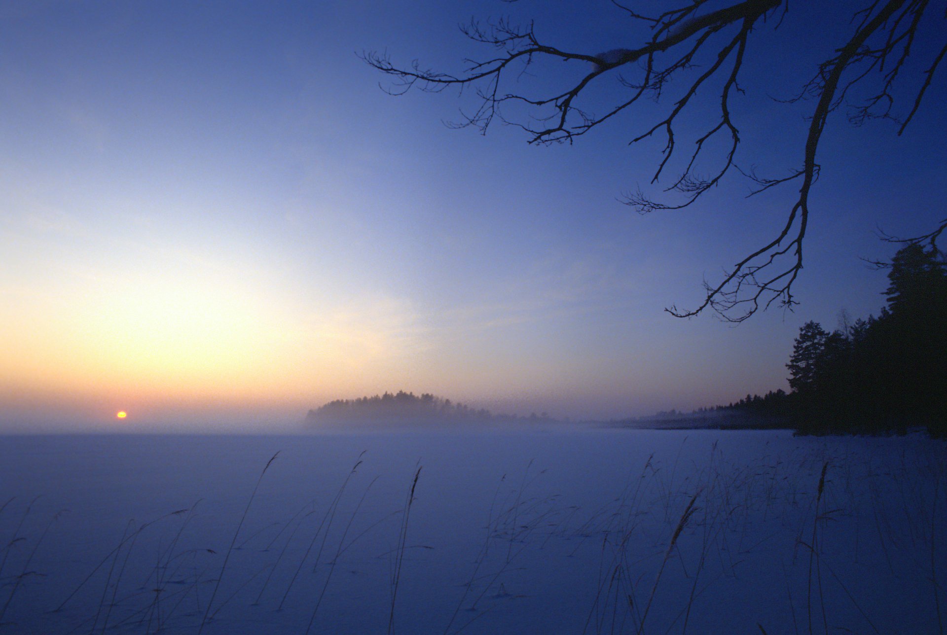 2K Quad HD PC desktop wallpaper and background: Finland winter lake at sunrise, snow-covered shore, mist over the water, silhouetted trees and bare branches against a blue-gold sky.