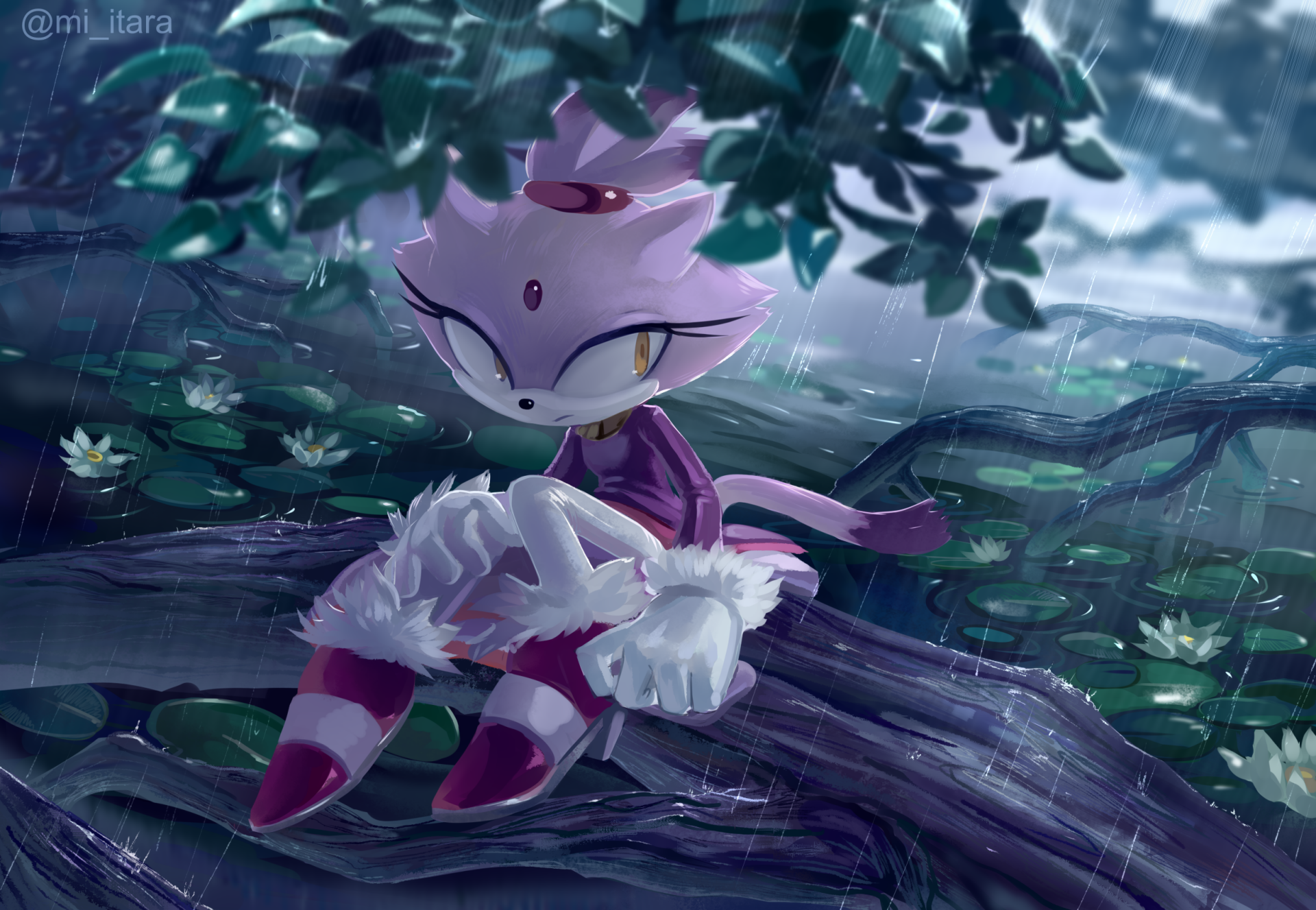 Blaze the Cat from the Sonic the Hedgehog video game series sits on a tree branch in a rain-soaked forest, depicted in an HD PC desktop wallpaper background.