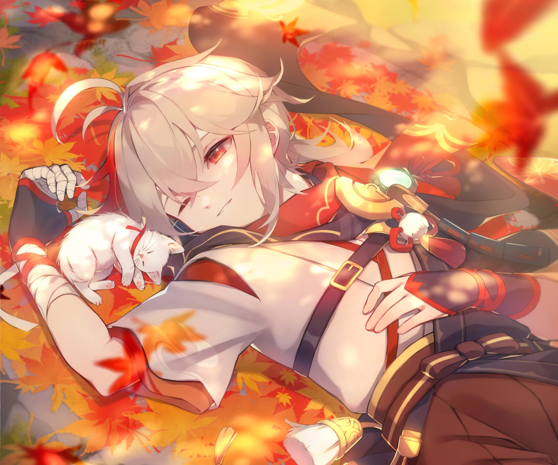 Kaedehara Kazuha with white cat Sapphire, reclining amid falling autumn leaves in warm light — 2K Quad HD Genshin Impact video game desktop wallpaper.