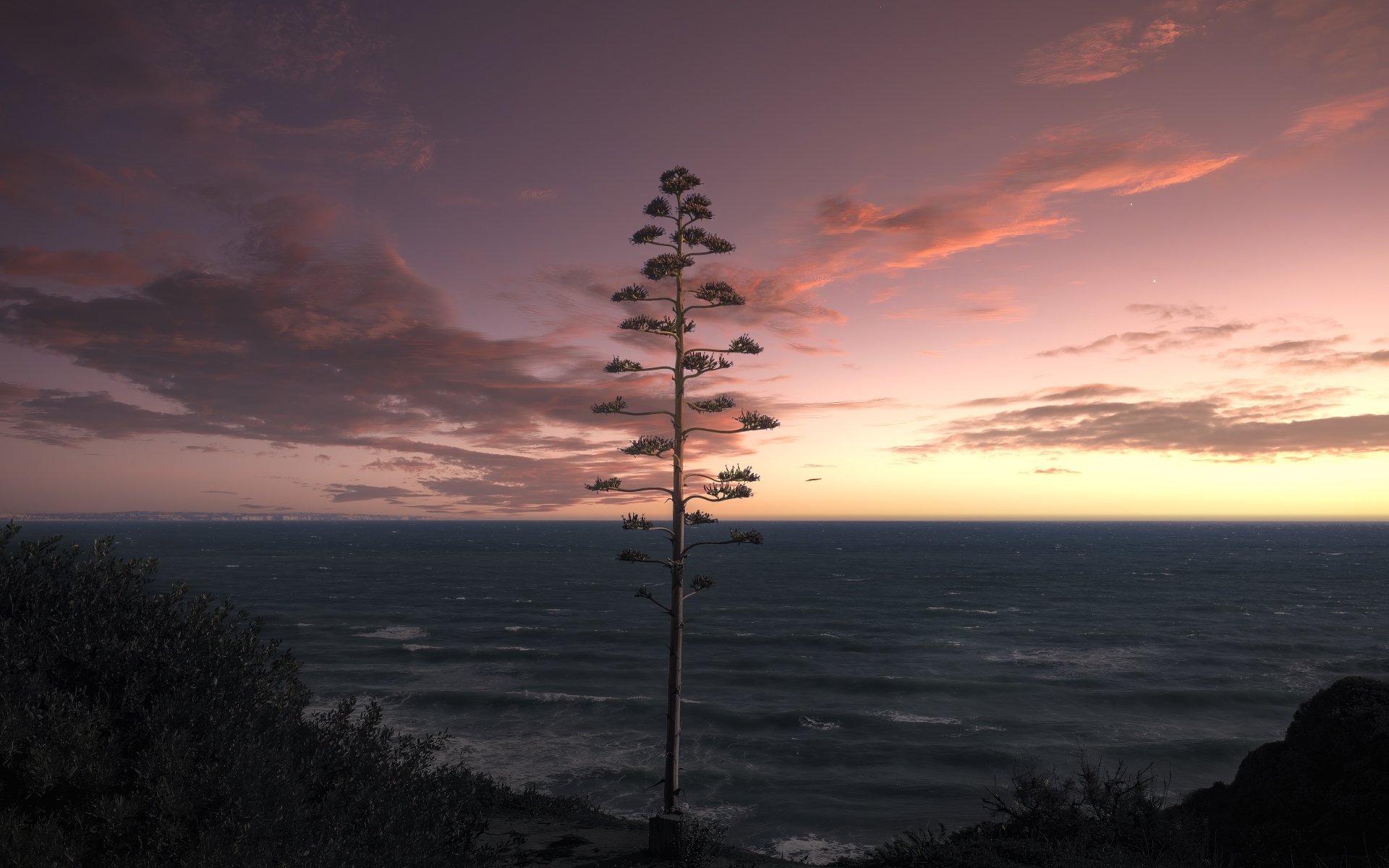 Download Horizon Tree Artistic Ocean 4k Ultra HD Wallpaper by ddzphoto