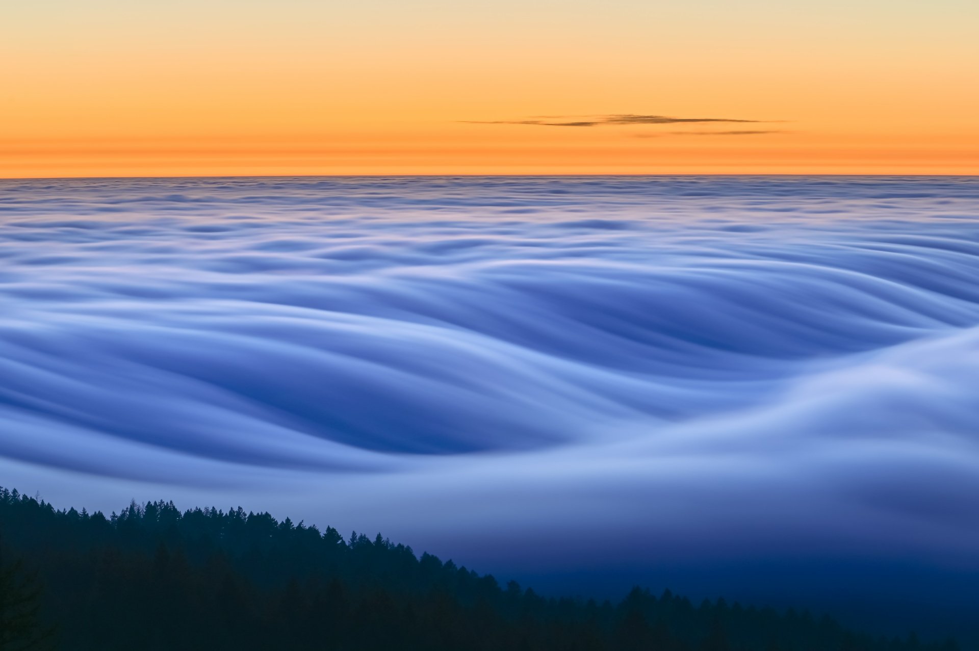 4K Ultra HD desktop wallpaper of a serene horizon with a sea of fog-like clouds gently rolling over dark treetops at sunrise.