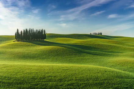 grassland greenery hill nature landscape HD Desktop Wallpaper | Background Image