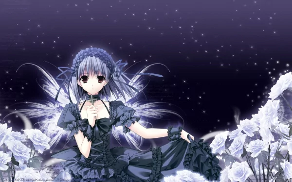 An enchanting anime angel in a dark dress, surrounded by white roses against a starry night backdrop. This HD wallpaper captivates with its ethereal beauty.