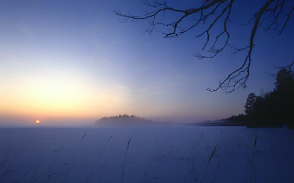 2K Quad HD PC desktop wallpaper and background: Finland winter lake at sunrise, snow-covered shore, mist over the water, silhouetted trees and bare branches against a blue-gold sky.