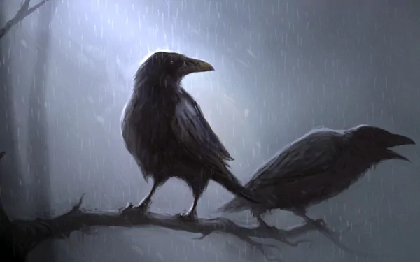 HD desktop wallpaper of two ravens perched on a branch in the rain, with a dim, moody background, tagged as Animal and crow.