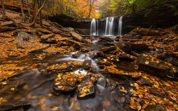 A serene Pennsylvania waterfall flows over rocky ledges into a leaf-strewn stream surrounded by autumn trees, captured in 4K Ultra HD for a vivid nature desktop background.