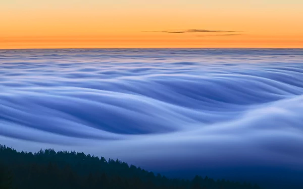 4K Ultra HD desktop wallpaper of a serene horizon with a sea of fog-like clouds gently rolling over dark treetops at sunrise.