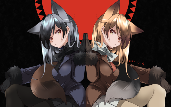 Anime Kemono Friends Silver Fox Ezo Red Fox Animal Ears HD Wallpaper | Background Image