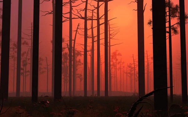 nature scenic HD Desktop Wallpaper | Background Image