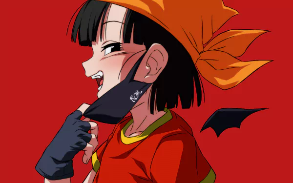 Pan (Dragon Ball) Anime Dragon Ball GT HD Desktop Wallpaper | Background Image