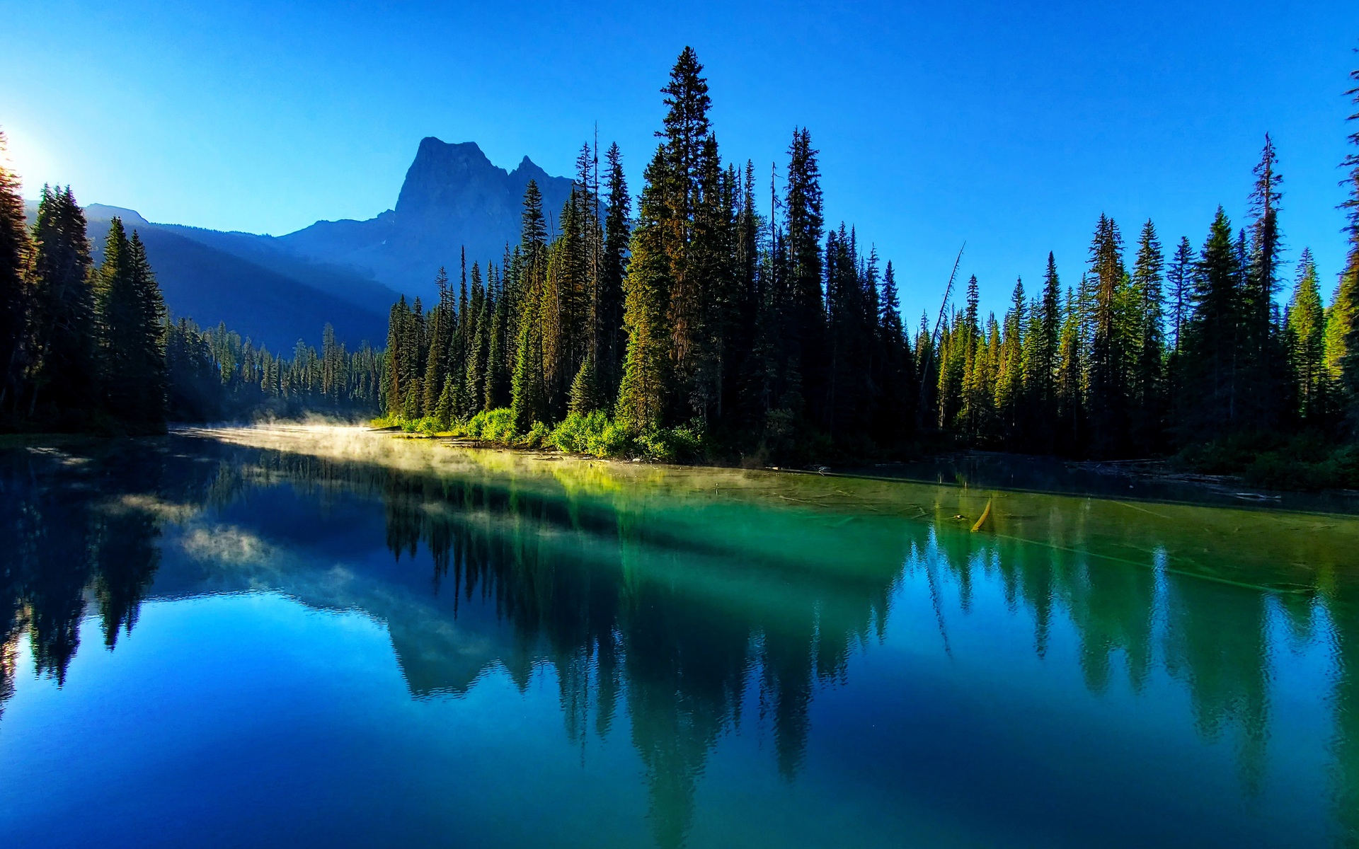 Download Nature Reflection HD Wallpaper