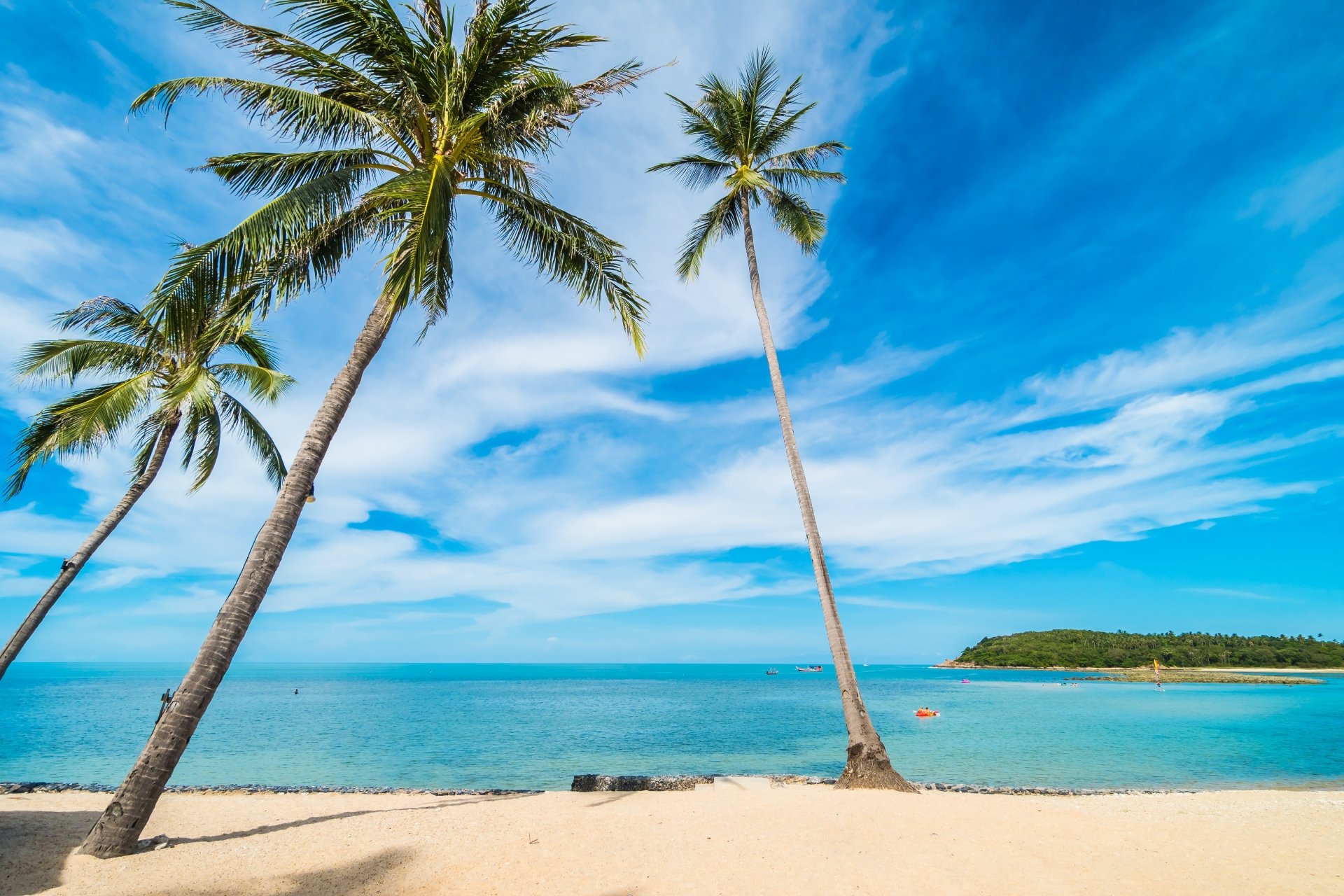 Download Horizon Palm Tree Beach Photography Tropical Tree 4k Ultra HD ...