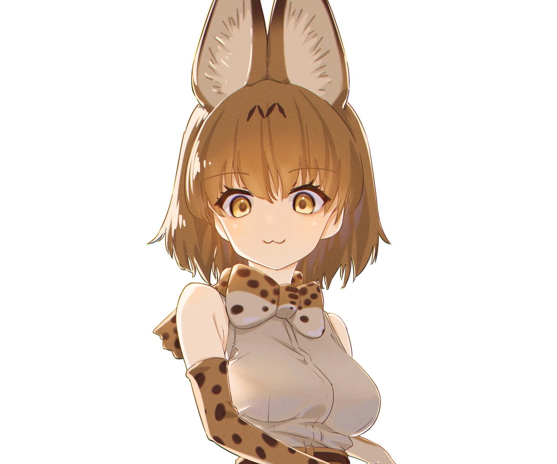 Download Serval (Kemono Friends) Anime Kemono Friends HD Wallpaper