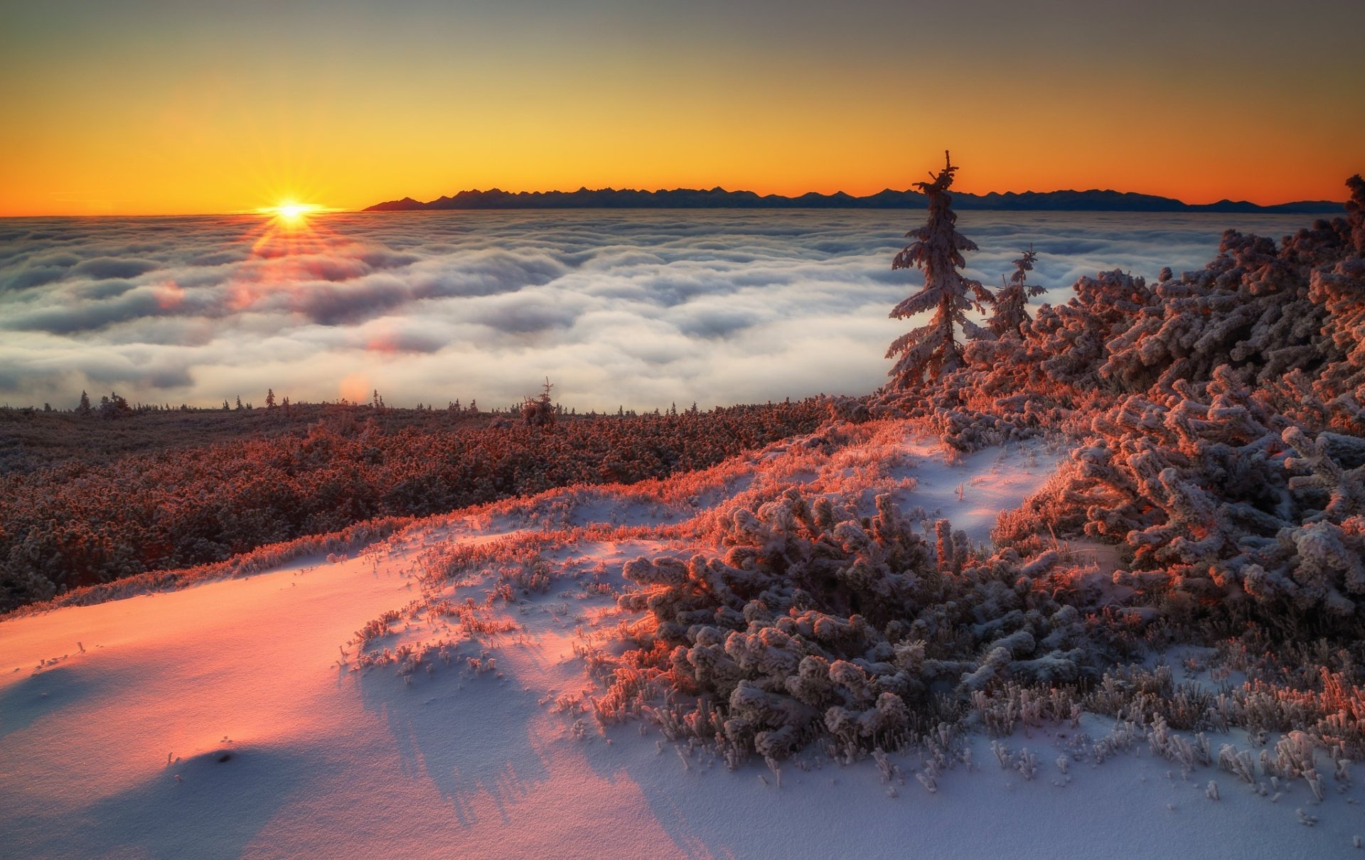 Download Sea Of Clouds Poland Landscape Nature Sunrise HD Wallpaper by Michał Sośnicki