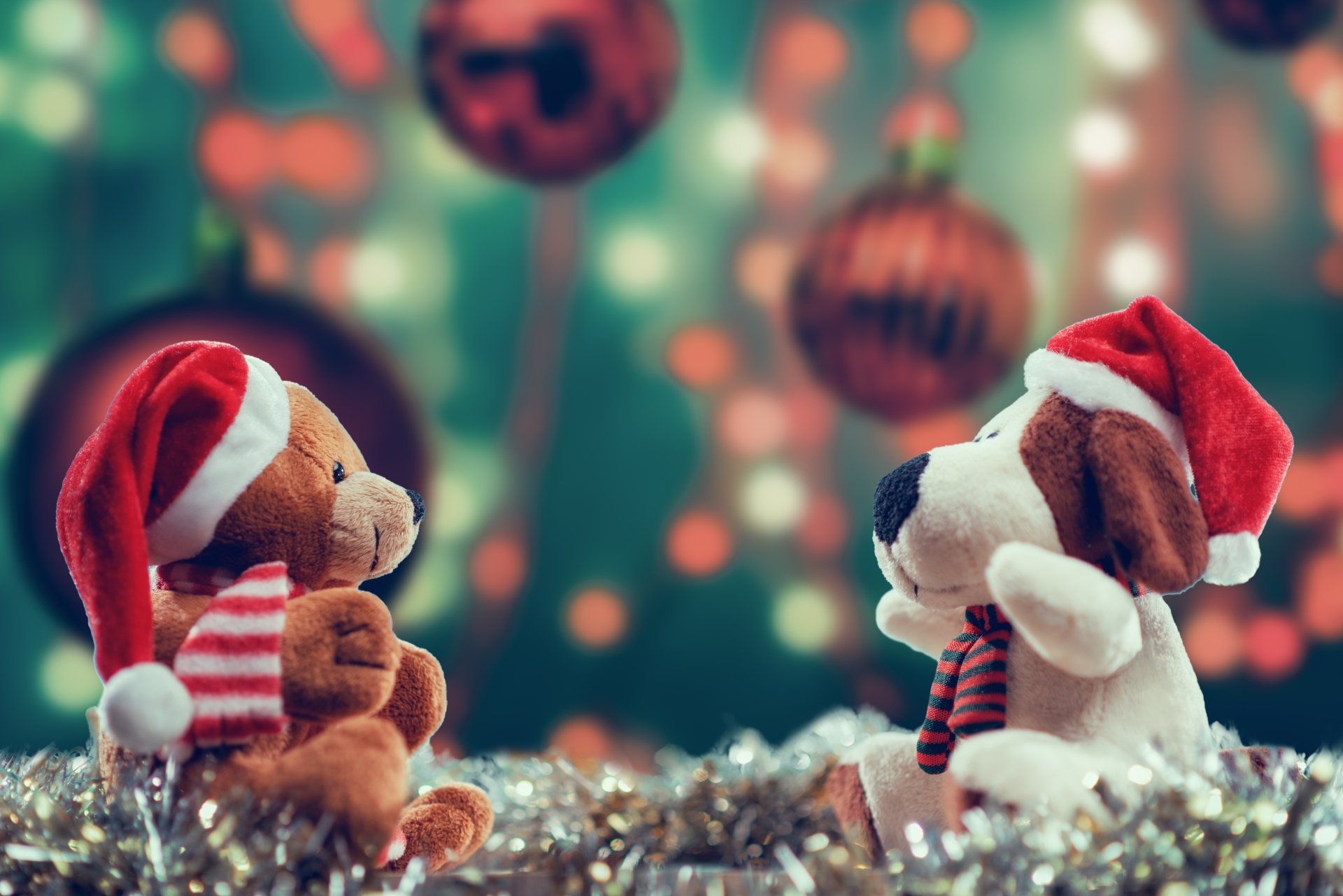 Download Stuffed Animal Holiday Christmas 4k Ultra HD Wallpaper