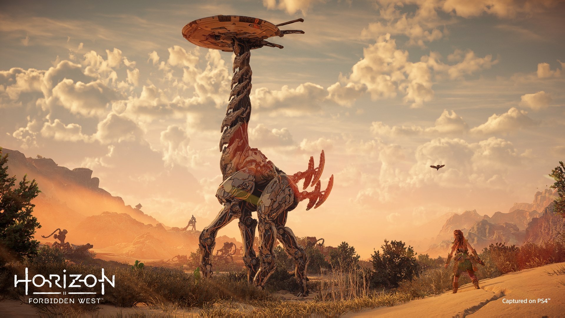 Download Aloy (Horizon Series) Video Game Horizon Forbidden West HD Wallpaper