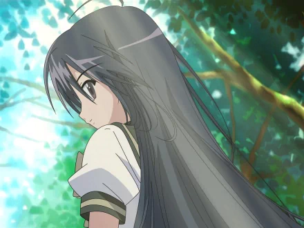 HD anime desktop wallpaper featuring a character from Shakugan No Shana with long dark hair, set against a vibrant, sunlit forest background.