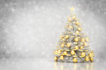 christmas tree holiday Christmas HD Desktop Wallpaper | Background Image