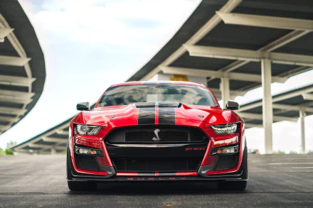 Red Ford Mustang Shelby GT500 muscle car, front view under an overpass — HD PC desktop wallpaper and background.