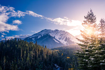 Canada mountain nature banff national park HD Desktop Wallpaper | Background Image