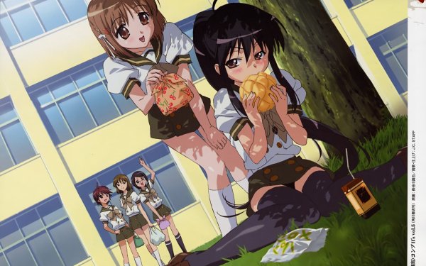 Anime Shakugan No Shana HD Wallpaper | Background Image