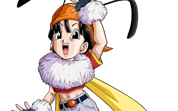 Pan (Dragon Ball) Anime Dragon Ball GT HD Desktop Wallpaper | Background Image