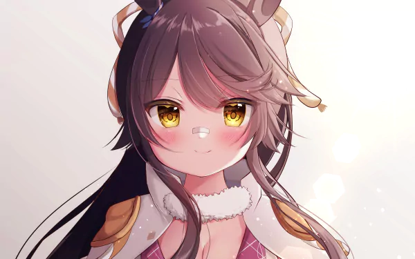 Narita Brian Anime Uma Musume: Pretty Derby HD Desktop Wallpaper | Background Image