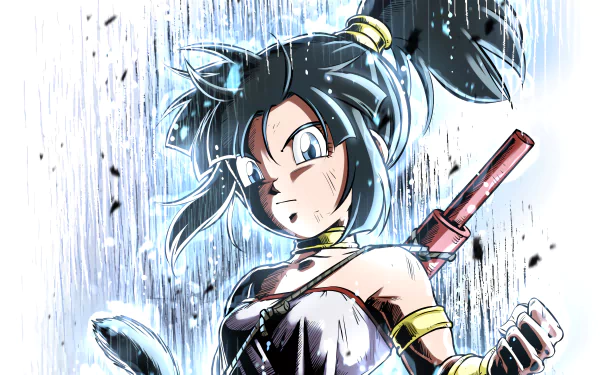 Pan (Dragon Ball) Anime Dragon Ball GT HD Desktop Wallpaper | Background Image