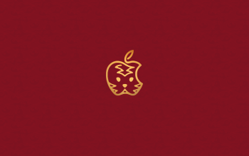 SF Symbols Wallpaper — Basic Apple Guy