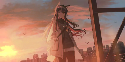 Texas (Arknights) on a rooftop at sunset, coat and hair blowing, city skyline and birds behind — Arknights video game 2K Quad HD PC desktop wallpaper/background.